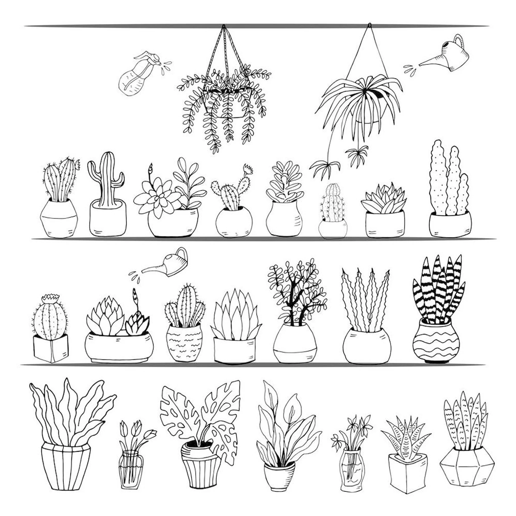 DABOXIBO Cactus/Spider Plant/Green Plant Clear Stamps Mold For DIY Scrapbooking Cards Making Decorate Crafts 2020 NEW Arrival