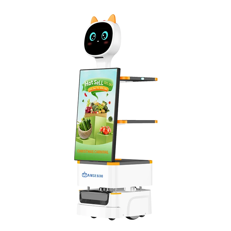 Smart Navigation Walking Robot Advertisement 27 Inches Screen Auto Recharging for Mall Promotions Supermarket Advertising Robot