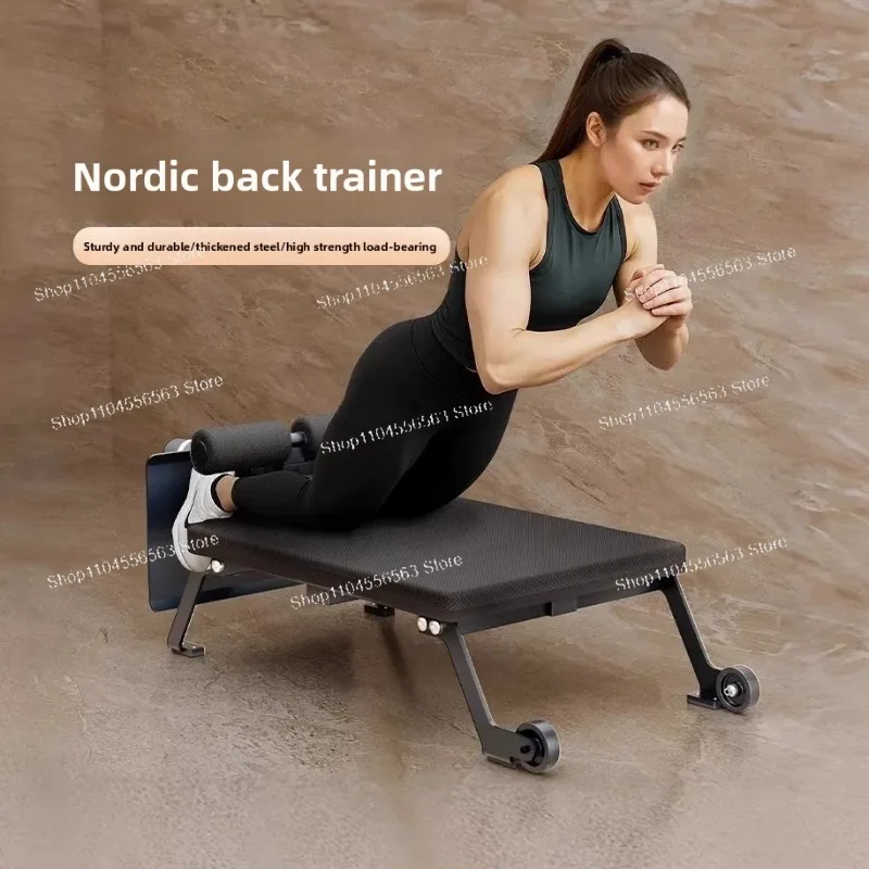 Multifunctional Abdominal Back Trainer Roman Chair, Hyperextension Bench Home Gym Reverse Sit-up Training Equipment