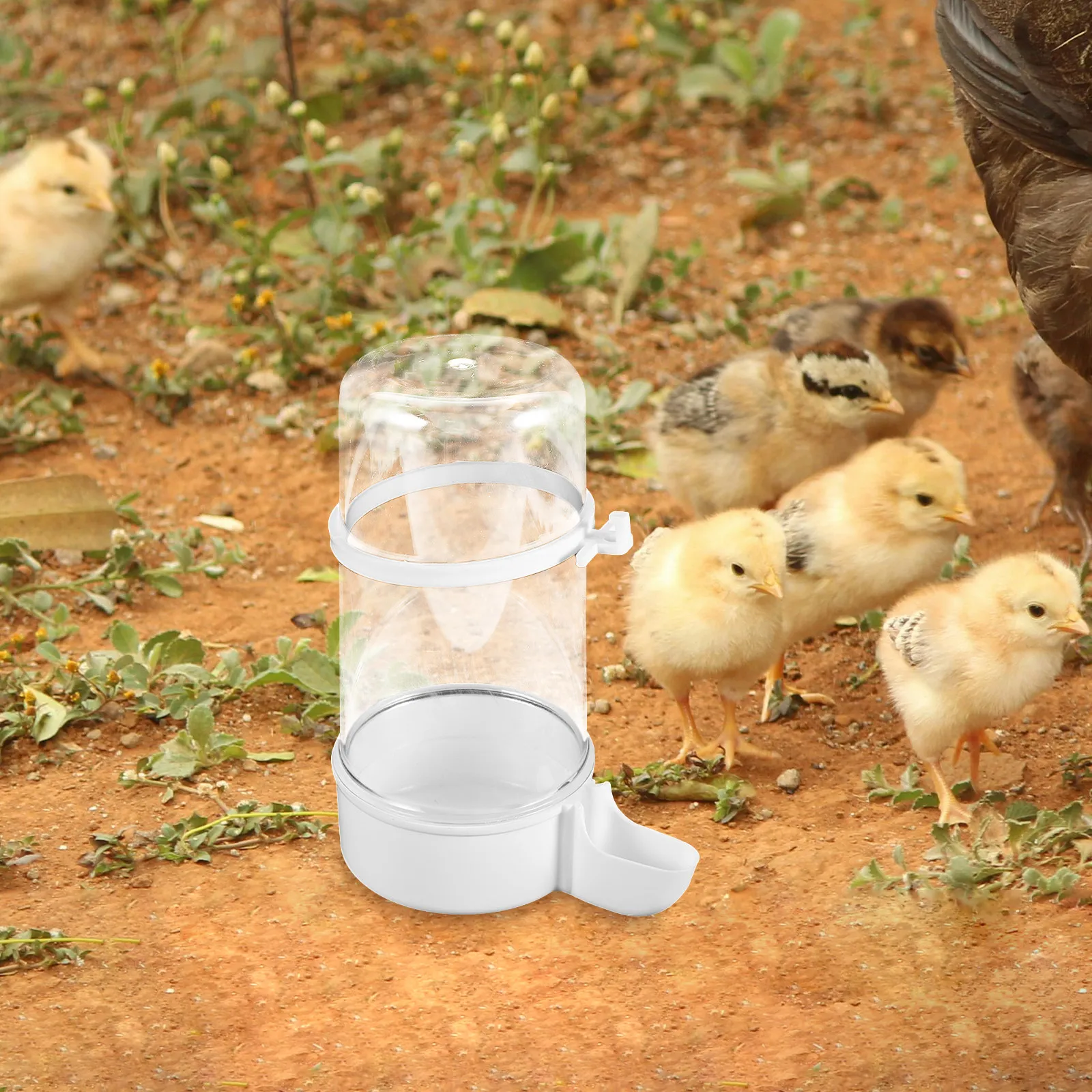 2Pcs Chicken Waterer Automatic Poultry Feeder Set for Small Birds Chicks Barn Animals Portable Lightweight Water-Saving Bird