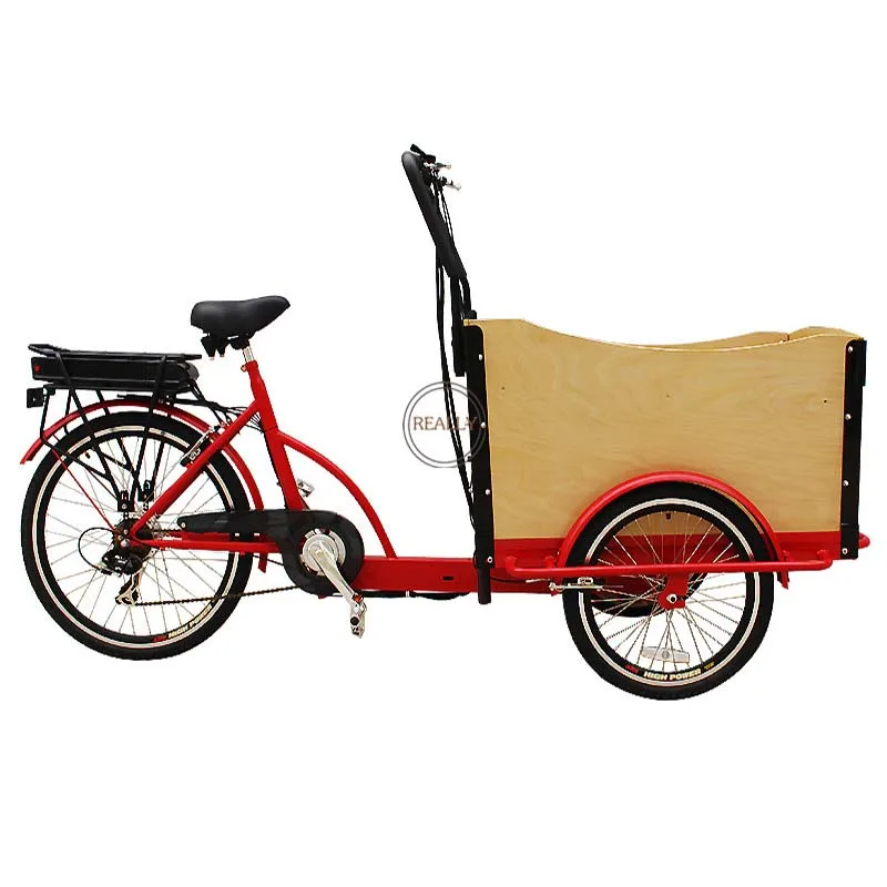 Adult Tricycle Electric Cargo Bike for Transport Children Home Use 4 Seats for Sale