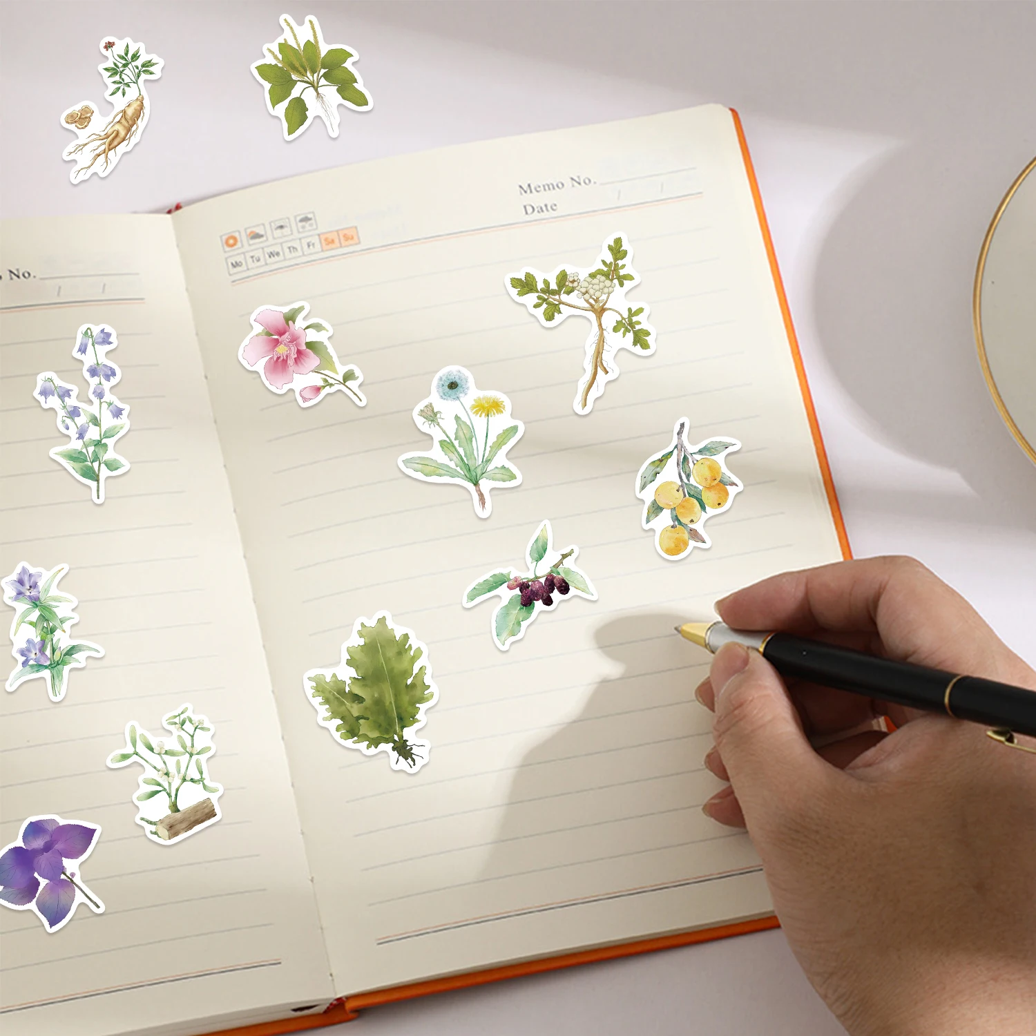 50PCS Creative โรงงานยาจีนสติกเกอร์เคสโทรศัพท์โน้ตบุ๊ค DIY สีน้ําภาพวาดสไตล์สติ๊กเกอร์สติ๊กเกอร์