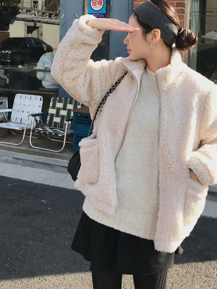 Chic Autumn Winter New Style Thickened Lamb Fur Jacket Women's Short Zipper Faux Leather Fur Integrated Warmth Outerwear