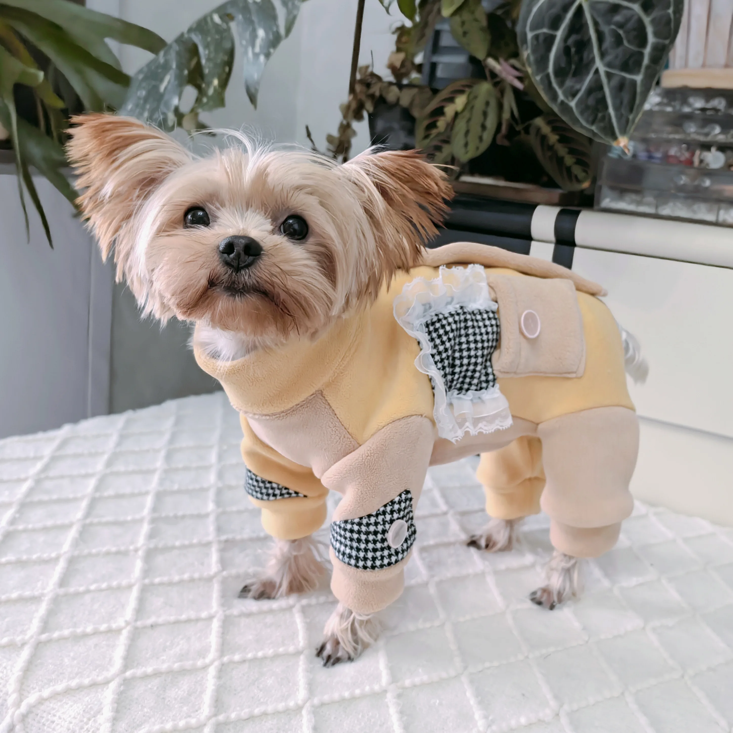 

Зимние плотные хлопковые теплые комбинезоны для щенков, одежда в стиле ретро, классические комбинезоны с запахом на четырех фута для маленьких и средних собак, одежда для домашних животных