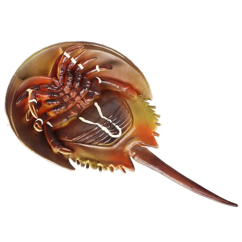 สัตว์ทะเล Horseshoe Crab Figurine - โมเดลพลาสติกอะนิเมะตัวเลข - ของเล่นเพื่อการศึกษาแสนสนุกสําหรับเด็กชาย เด็กหญิง และเด็กอายุ 3 ปีขึ้นไป