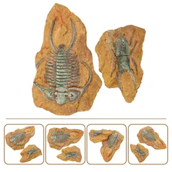 2 Pcs Sea Animal Toy Figures Terrarium Ornament Simulated Resin Fossil Crawling Landscape Trilobite