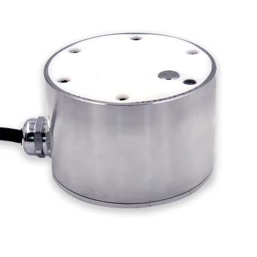 RY-CW1600 Road Mete…