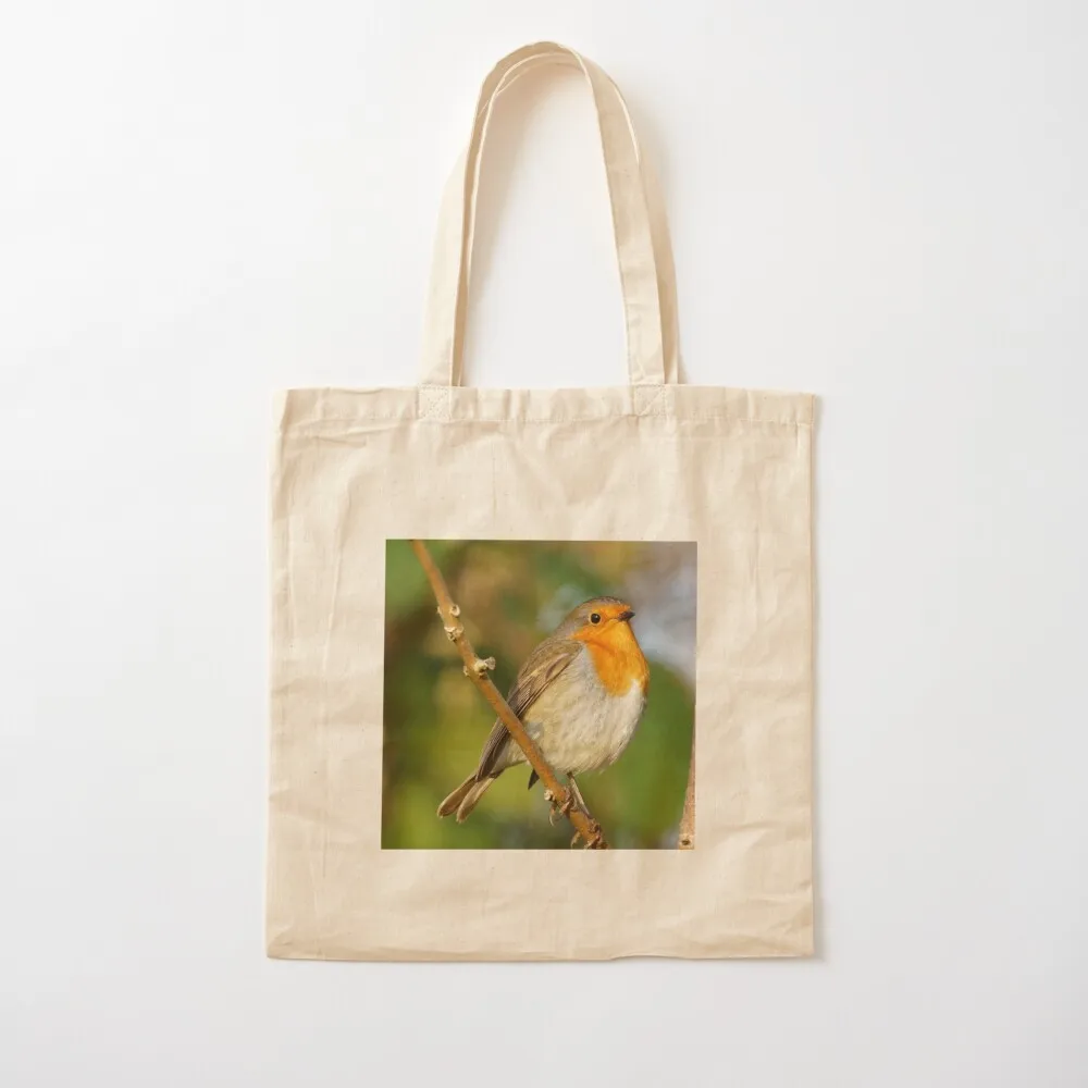 Robin on a branch Tote Bag