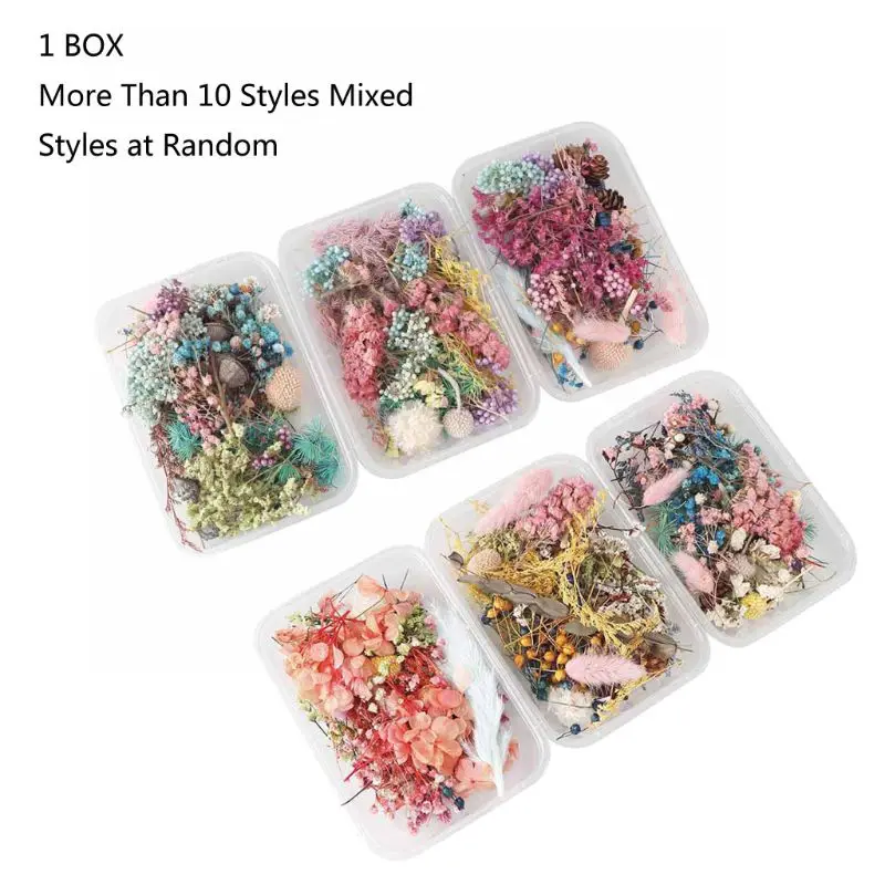 6 Box Colorful Pressed Flowers for Candle Jewelry Pendant Crafts Making