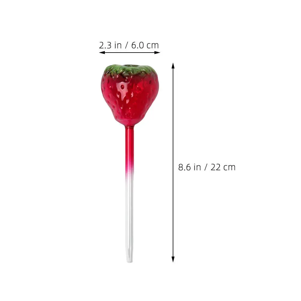 2 Pcs Automatic Plant Waterer Indoor Irrigation Globes Glass Self Watering Large for Plants Spike