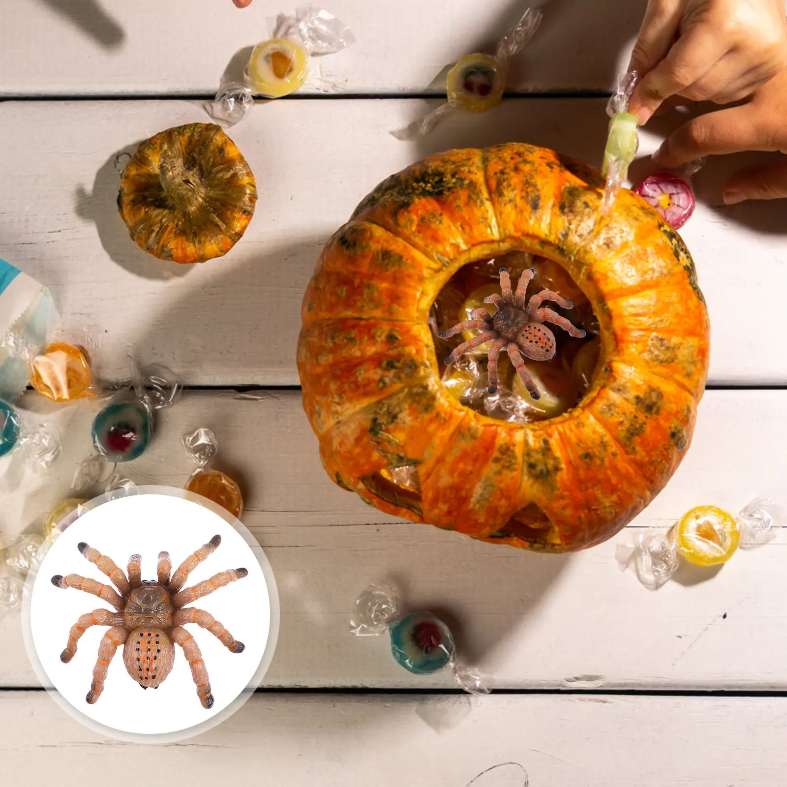 

Plastic Spider Prank Prop Realistic Design Halloween Decoration Trick Plaything Spider Model Toy