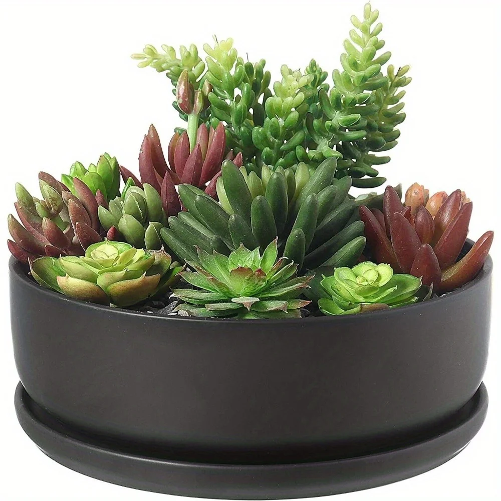 

8 Inch Round Black Ceramic Cactus Succulent Planter Bowl with Saucer Tray