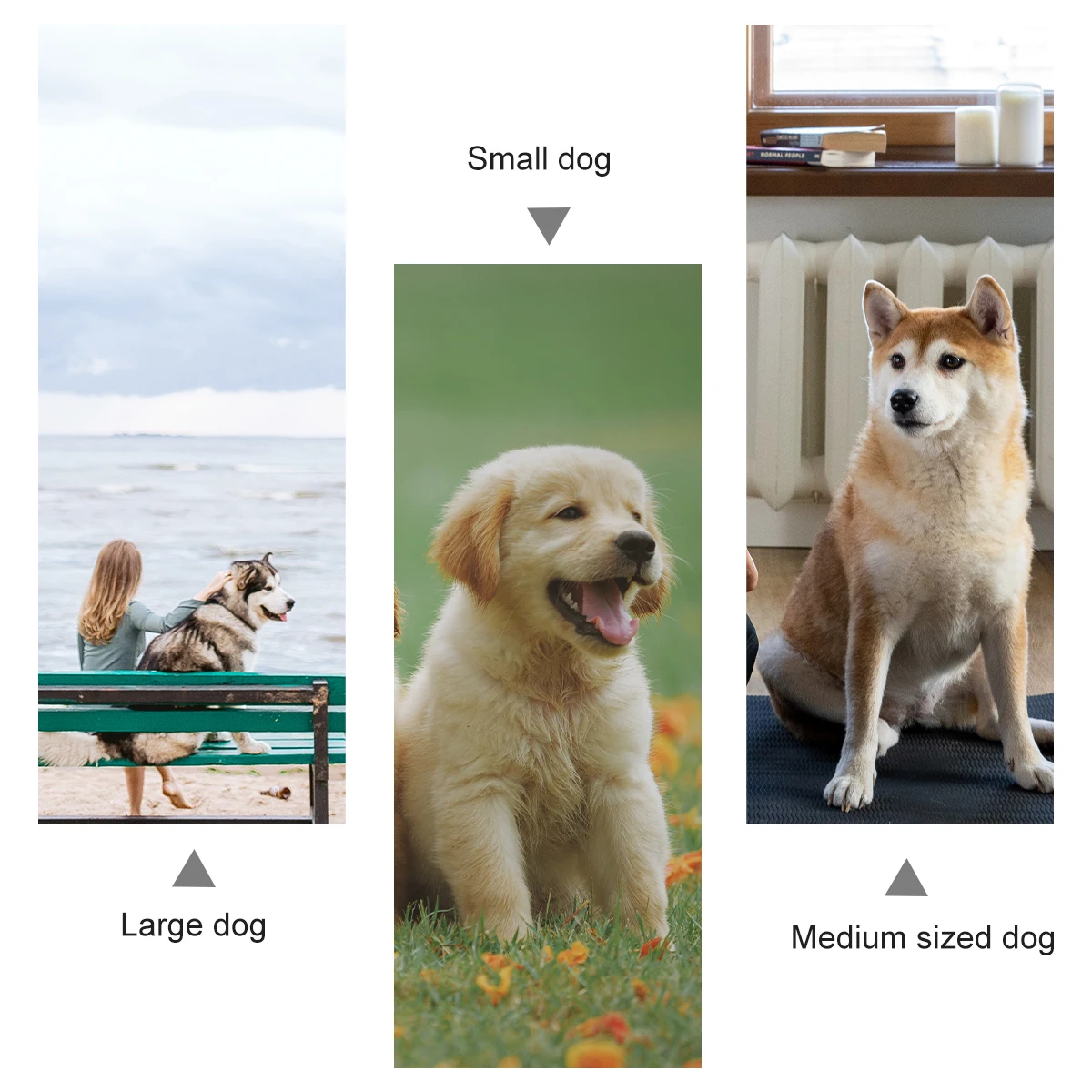 

Halloween Lightweight Halloween Costume For Material Perfect for Party Pet Costume Dog Jacket Pet Dog Clothing Winter