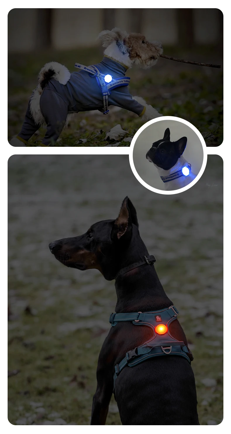 Truelove Led Light USB Rechargeable Flash Dog 3 Light Modes IP65 Waterproof Makes Your Beloved Dogs Be Seen At Night TLD19103