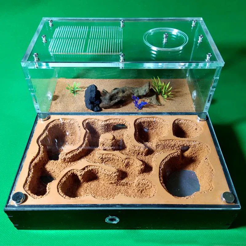 Concrete Ant Farm House Super Large Yellow Mud Ant Nest Gypsum Pet Anthill Insect Castle M Workshop Ant House with Hunting Area