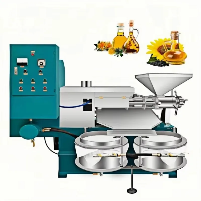 Automatic Cold & Hot Pressing Peanut/Rapeseed Oil Making Machine 40-80kg/h Energy Saving 220V