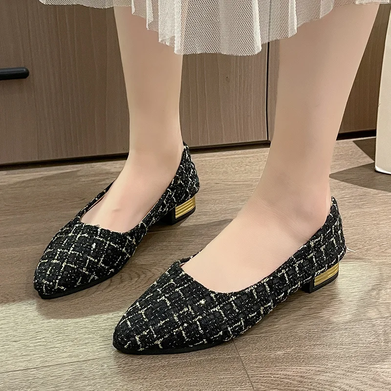 New Style Fashionable Comfortable Elegant and Sexy Casual Women's Shoes with Thick Heel and Pointed Toe in Various Colors