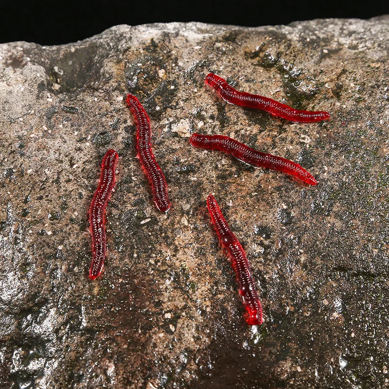 CIBO 50 ชิ้น-เหยื่อหนอนแดงเทีย - Aglaonema Red บทวิจารณ์และราคา