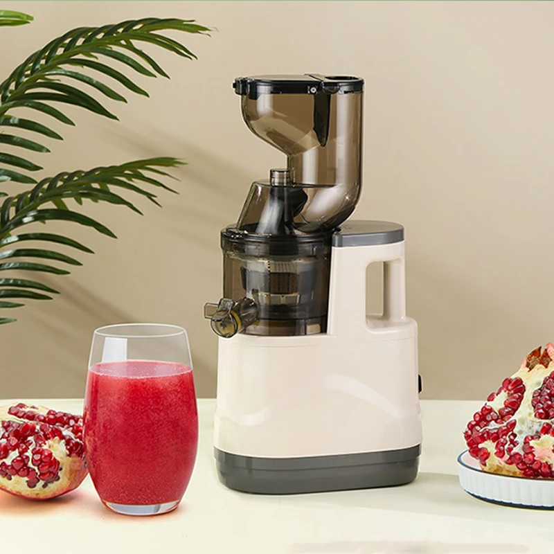 Estrattore di spremiagrumi elettrico compatto 110V/60Hz Pressa a freddo lenta con capacità di 500ml Macchina per succhi a basso rumore e bocca grande