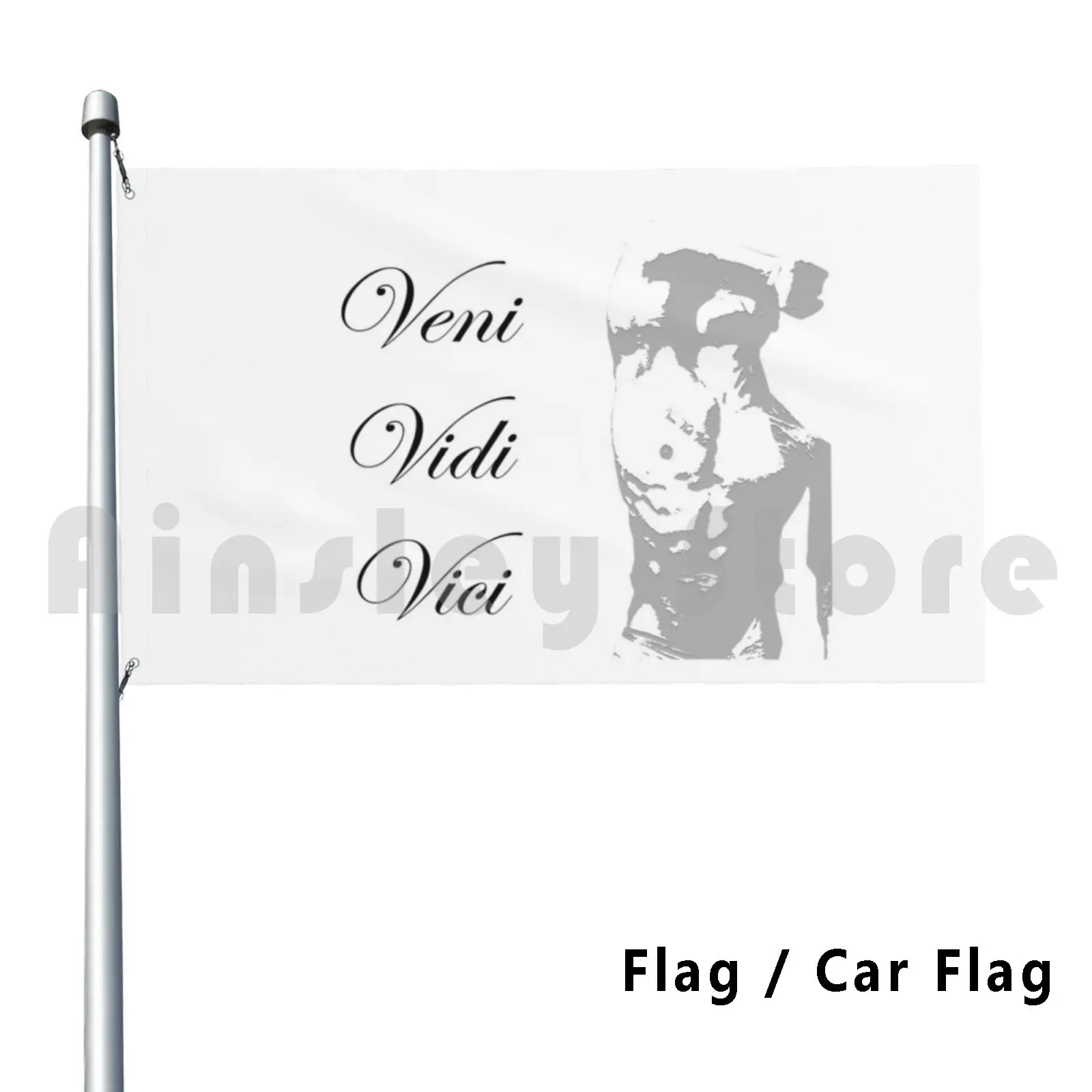 Zyzz Veni Vidi Vici Flag Car Flag Printing Custom Zyzz Gym Motivation Dedication Aesthetic Bodybuilding Veni Vidi