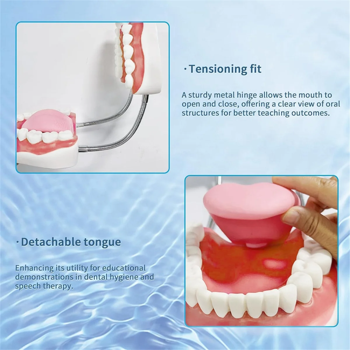 Teeth Mouth Model 6X Enlarged with Metal Hinge, Complete Set Teeth and Removable Tongue, PVC Speech Therapy Tool