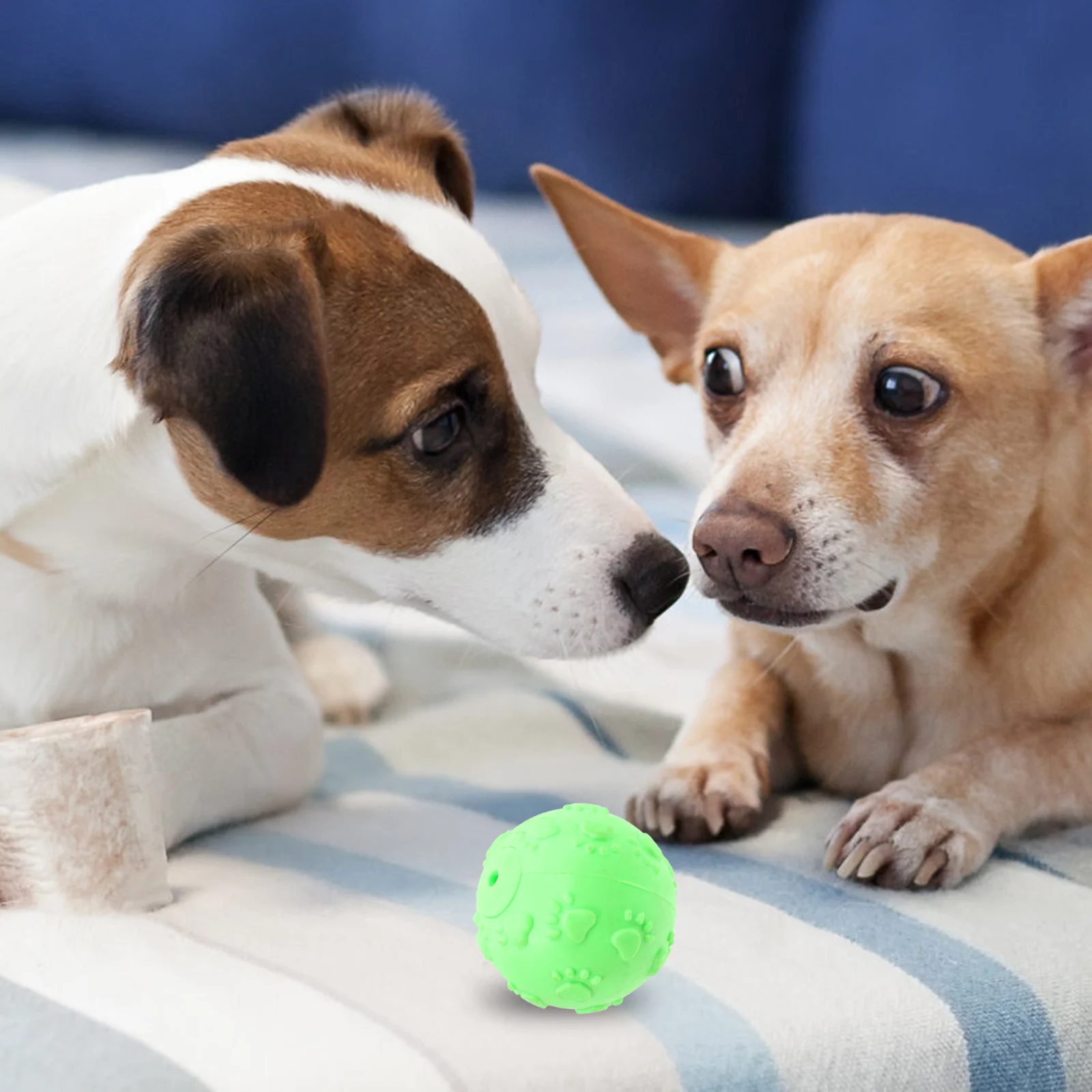 

Rubber ball Rubber footprint ball Pet rubber ball Molar rubber ball Teeth footprint toy