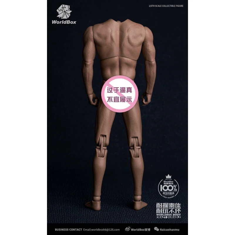 WorldBox 1/6 AT017 جسم عسكري عسكري بكتف عريض #6