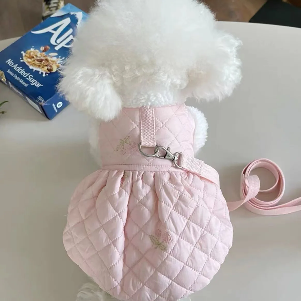 Winter Warm Harness Dresses For Small Dogs Pink Blue Fur Neck Pet Clothes Thicken Chihuahua Bichon Princess New Year Apparel XS