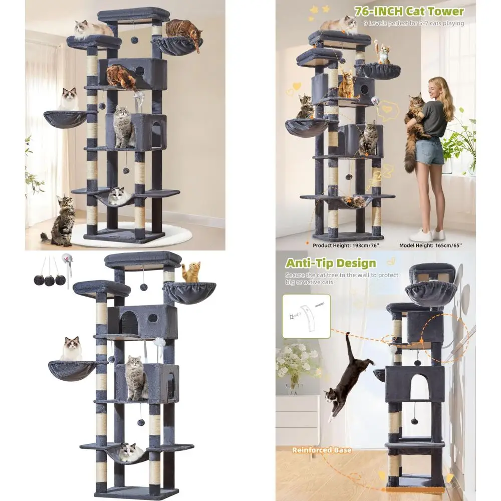 Sturdy 76 Indoor Ca…