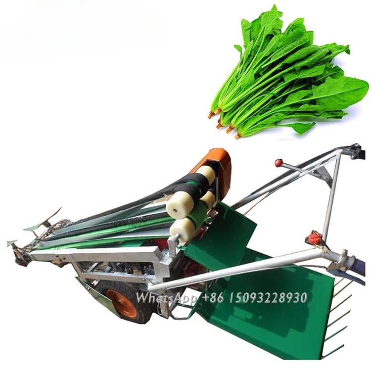 parsley rosemary  oregano scallion harvester /cilantro harvesting machine for sale