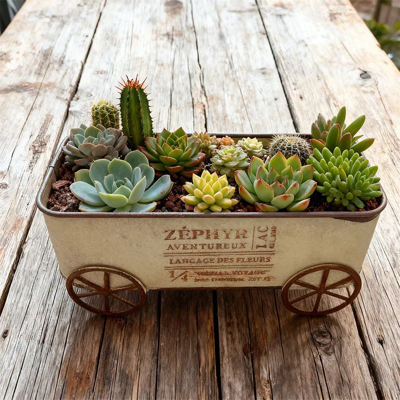 Trending Retro Iron Wagon Flower Pot, 4-Wheel Rolling Succulent Planter for Patio & Courtyard