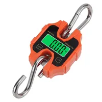 Electronic Digital Scales Luggage Scale 250kg Hanging Scale Heavy Weighting ABS Stainless Steel Loop Balance with Hook