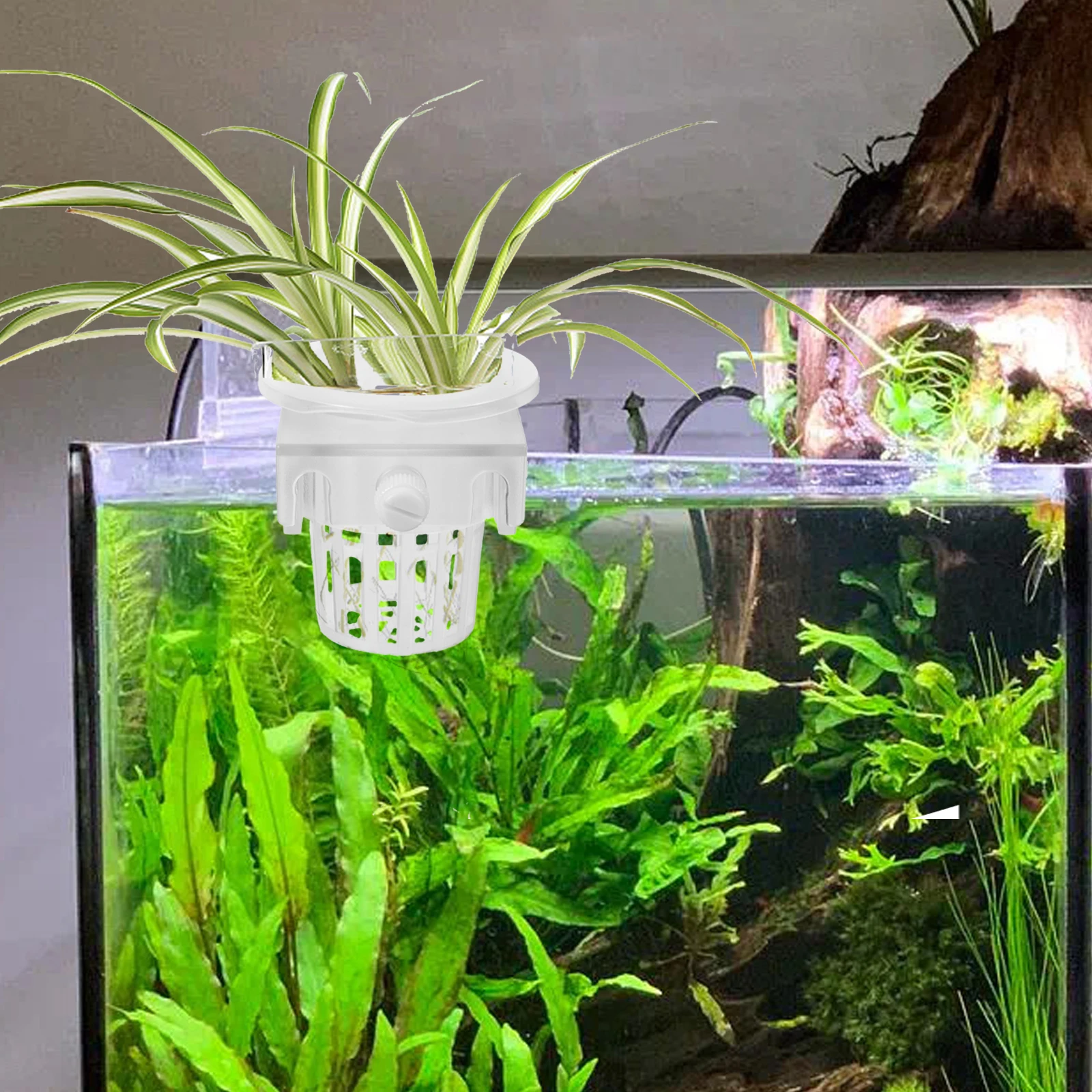 

2 Pcs Aquatic Plant Hanging Basket Hydroponic Net Pot Plastic Flower Pots Decorative Accessories Fish Tank Wall Mount Plant