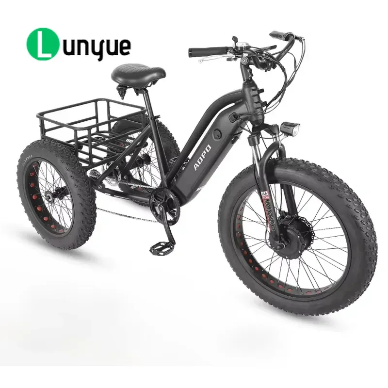 Custom 4 Inch Fat Tire Electric Cargo Tricycle 3 Wheel Pedal Assist E Bike For Heavy Duty Transport Factory Direct Sale