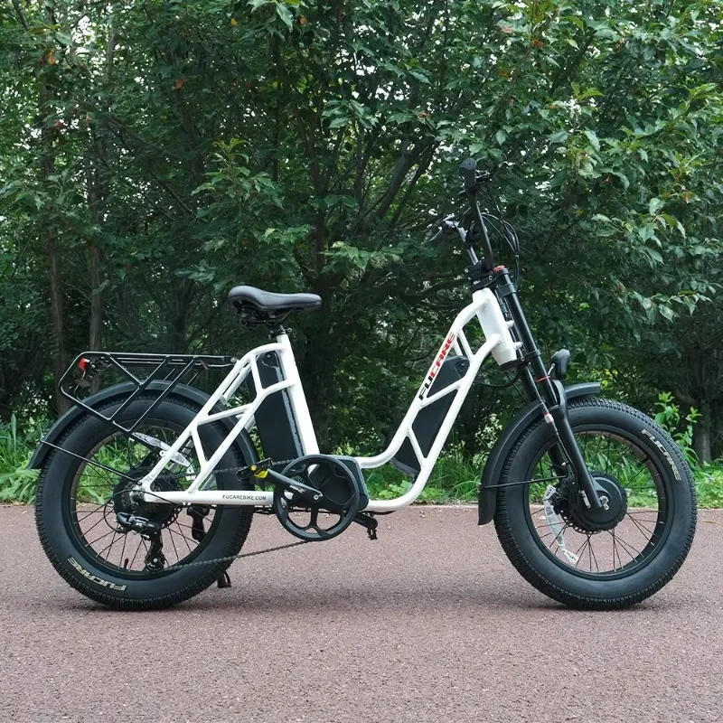 وصول جديد مباشر عالي الطاقة 1500 واط محرك مزدوج 750 واط خطوة من خلال دراجة كهربائية مع بطاريتين لمجموعة طويلة #3