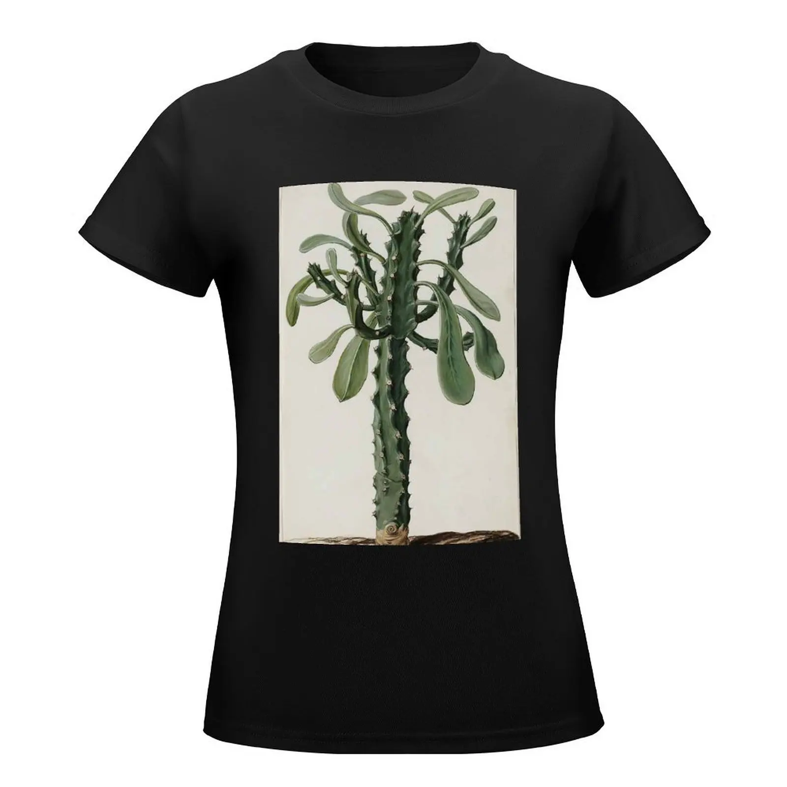 Euphorbia by Jan Moninckx T-Shirt summer top anime clothes funny graphics luxury designer clothing Women