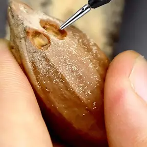 En çok satılan 10 martelete foredom-no. 6