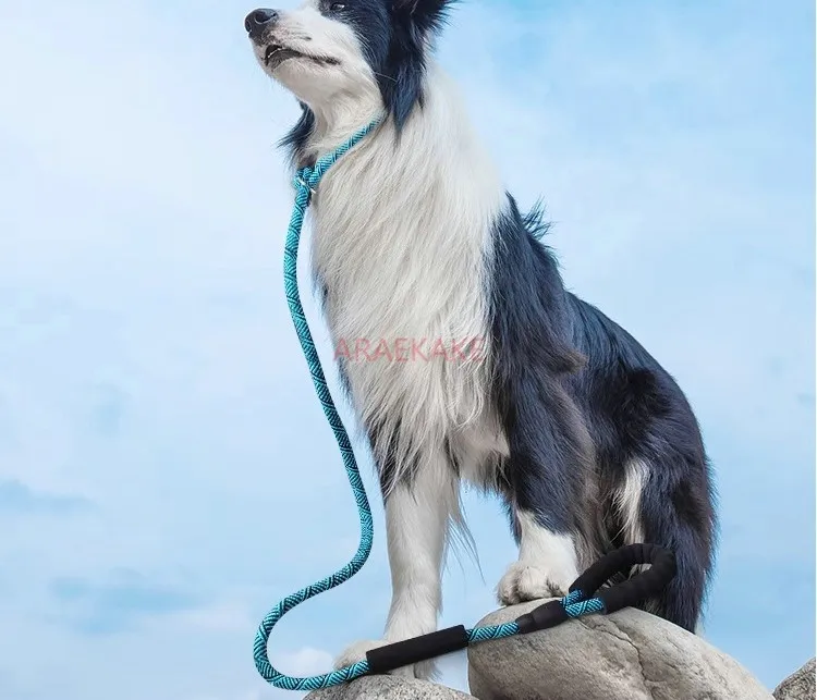 P rope explosion-proof walking dog traction rope training for young, medium and large dogs pet collars