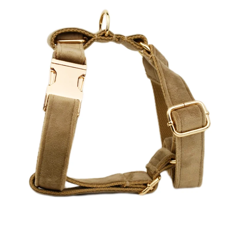 Ensemble collier et laisse en velours pour chien avec plaque_voghion.com