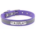 Collar-Purple