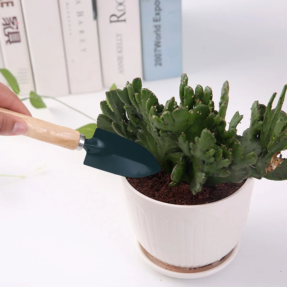 

3pcs Garden Tool Set Mini Indoor Gardening Tools For House Plants Bonsai Herbs Small Shovel Rake Trowel Lightweight Soil