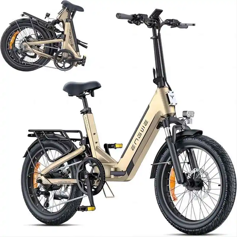 

Electric Bike with App, ebike Battery 48V 13.5Ah up to 135km, Torque Sensor and Hydraulic Brakes, Tyres 20 x 3.0, 2 Hours