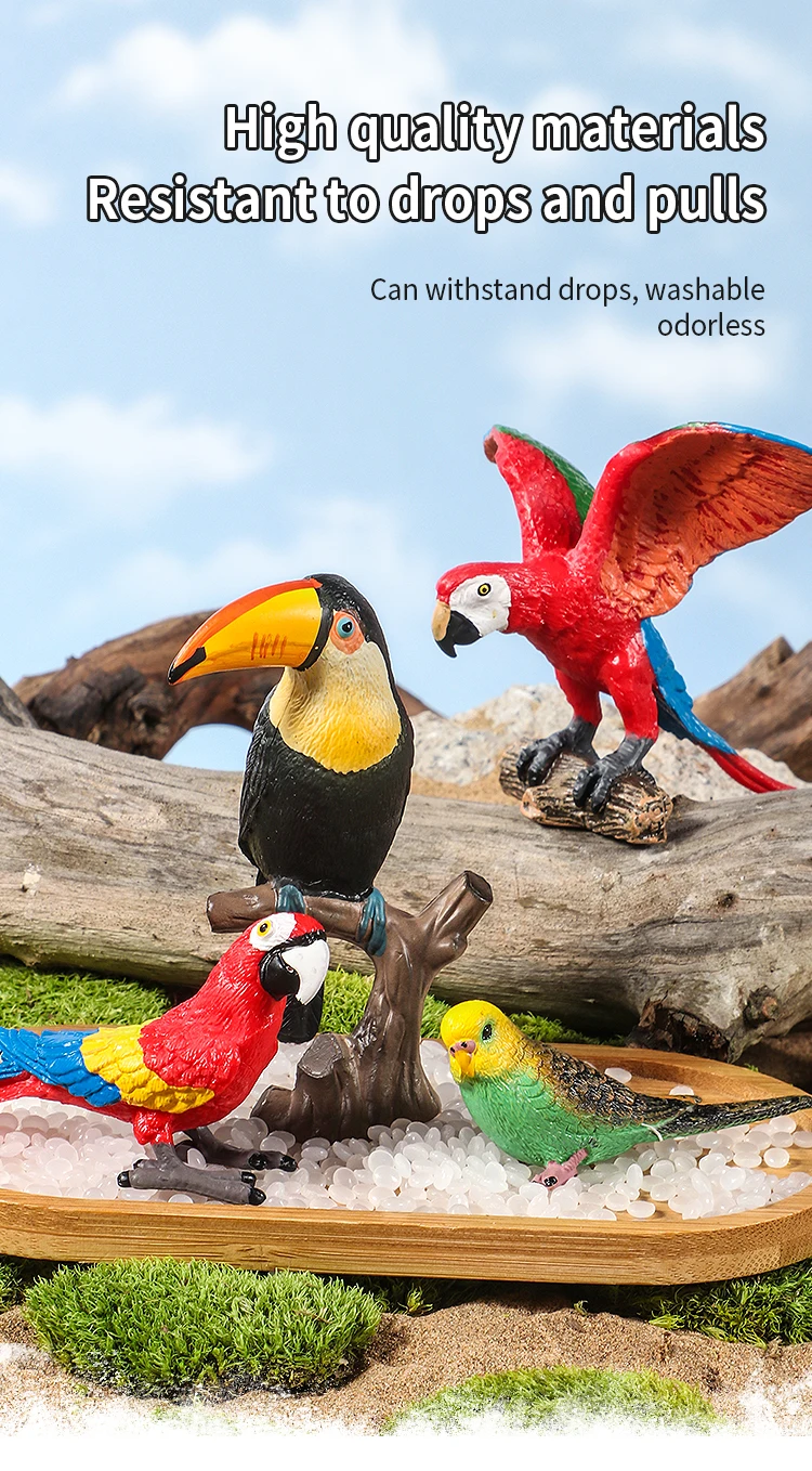 Realistische Vogelfiguren-Set - Papageien-Lernspielzeug für Kinder Simulierte Plastik-Tiermodelle Tierfiguren-Sammlung – Detail 5