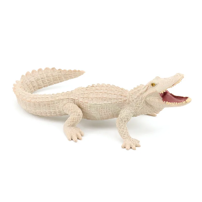 Cross-border simulation wild amphibian crocodile model green crocodile white crocodile children's cognitive static toy ornament