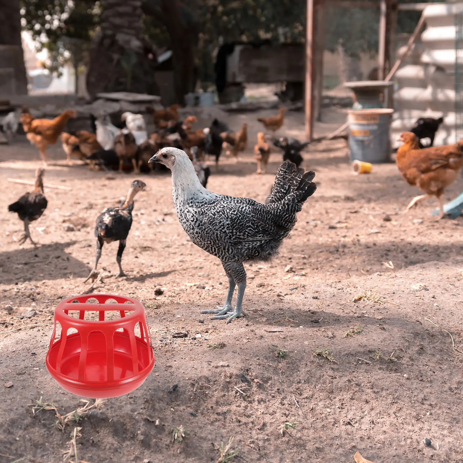 

Chicken Feeder Poultry Feeding Trough Food Container Holder Anti-Spatter Easy Clean Practical Household Chick Feeder Bowl