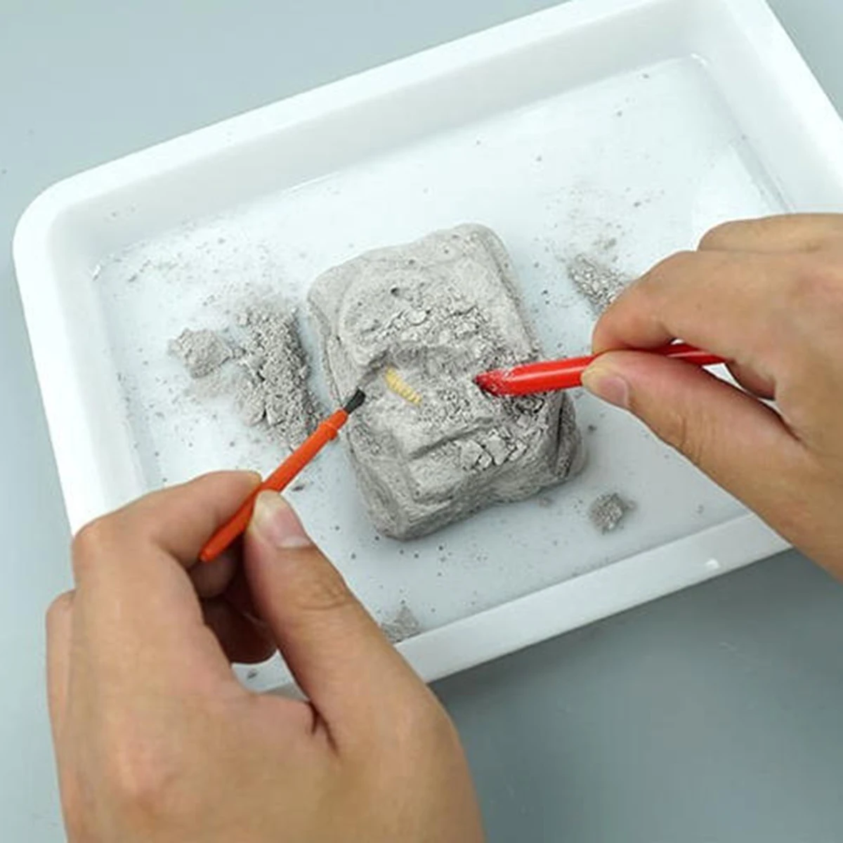 

DIY Dinosaur Fossil Digging Skeleton Archaeology Toy Children's Science Experiment Dinosaur Fossil Fun Digging Puzzle Toy