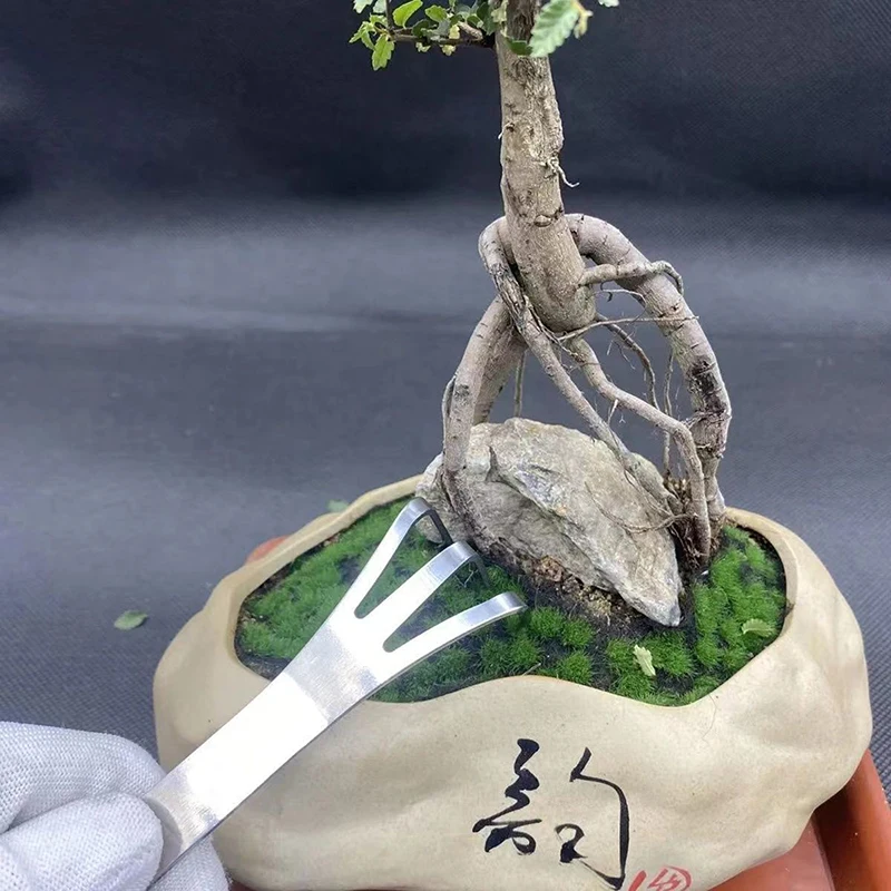 2Pc Stainless Steel Root Rake Bonsai Potted Plants 3-Prong Loosen Soil Tool Handheld Rustproof Rake Home Gardening Tool