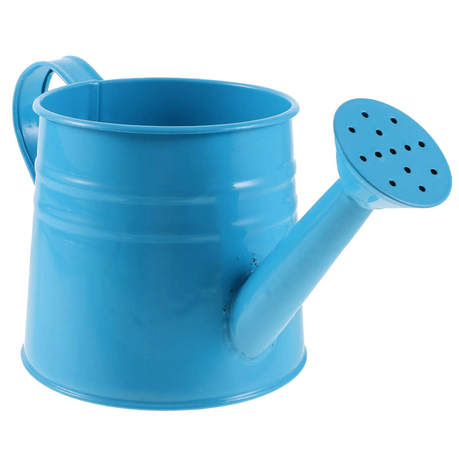 

Iron Watering Can for Gardening Sturdy Plant Kettle Heavy Duty Home Use Flower Pot Volume Control Eco Friendly