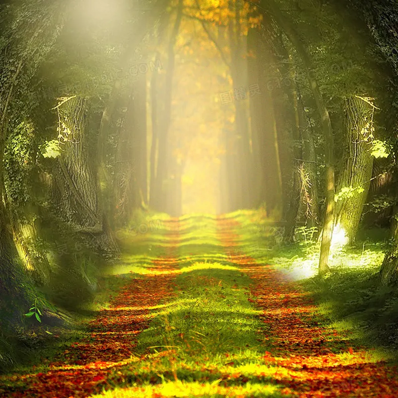 

B-CUBE Mista FPV Camera: 2000TVL CCD 2.1mm 1080P - Clearance for RC Drone Racing