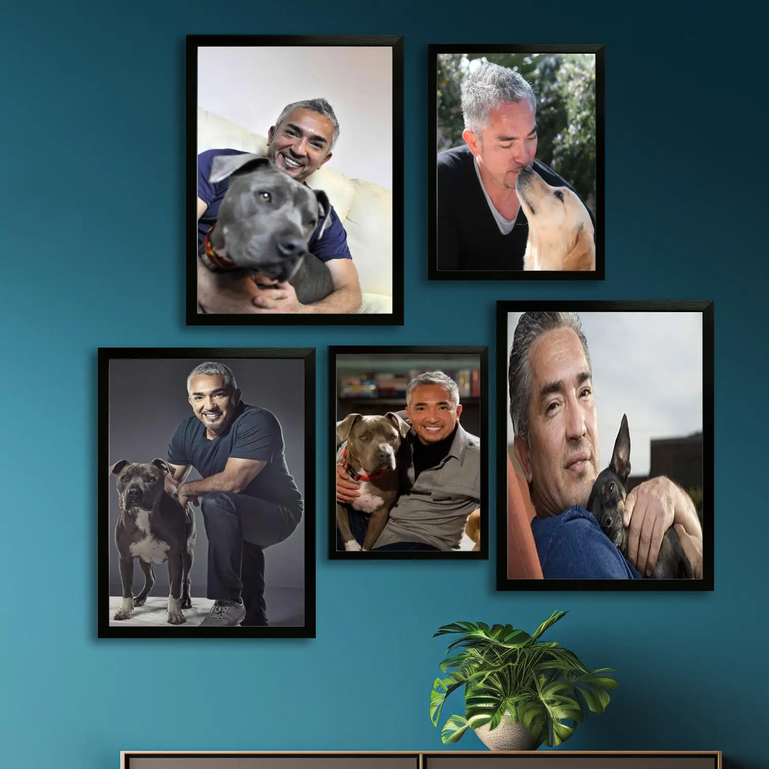 cesar millan Canvas Art Poster and Wall Art, Picture Print, Modern Family Bedroom Decor, Posters,Decorative painting